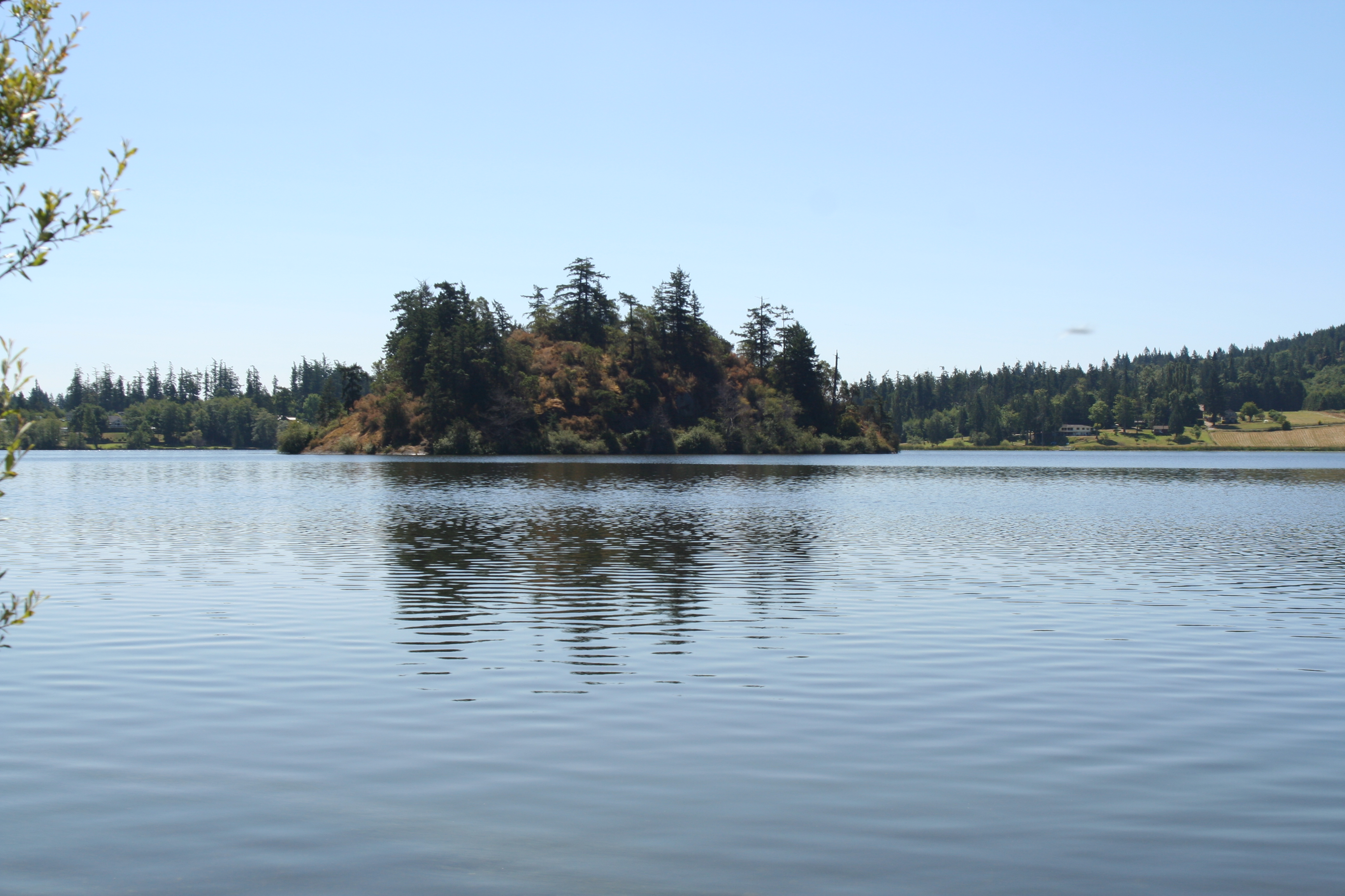 A tree-covered island in the middle of Lake Campbell.