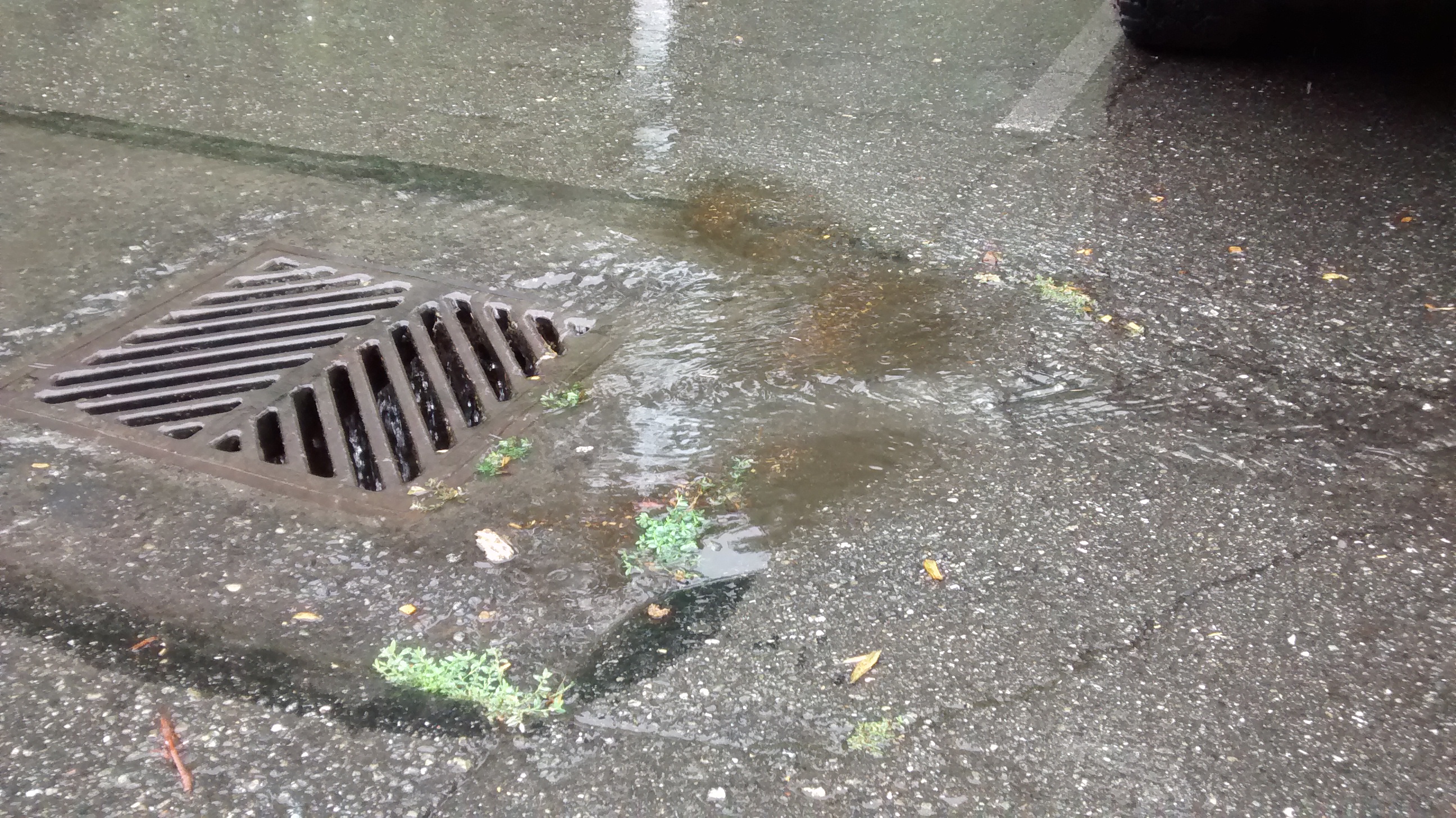 A storm drain in a parking lot with rain water flowing into it.
