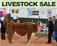 junior livestock sale