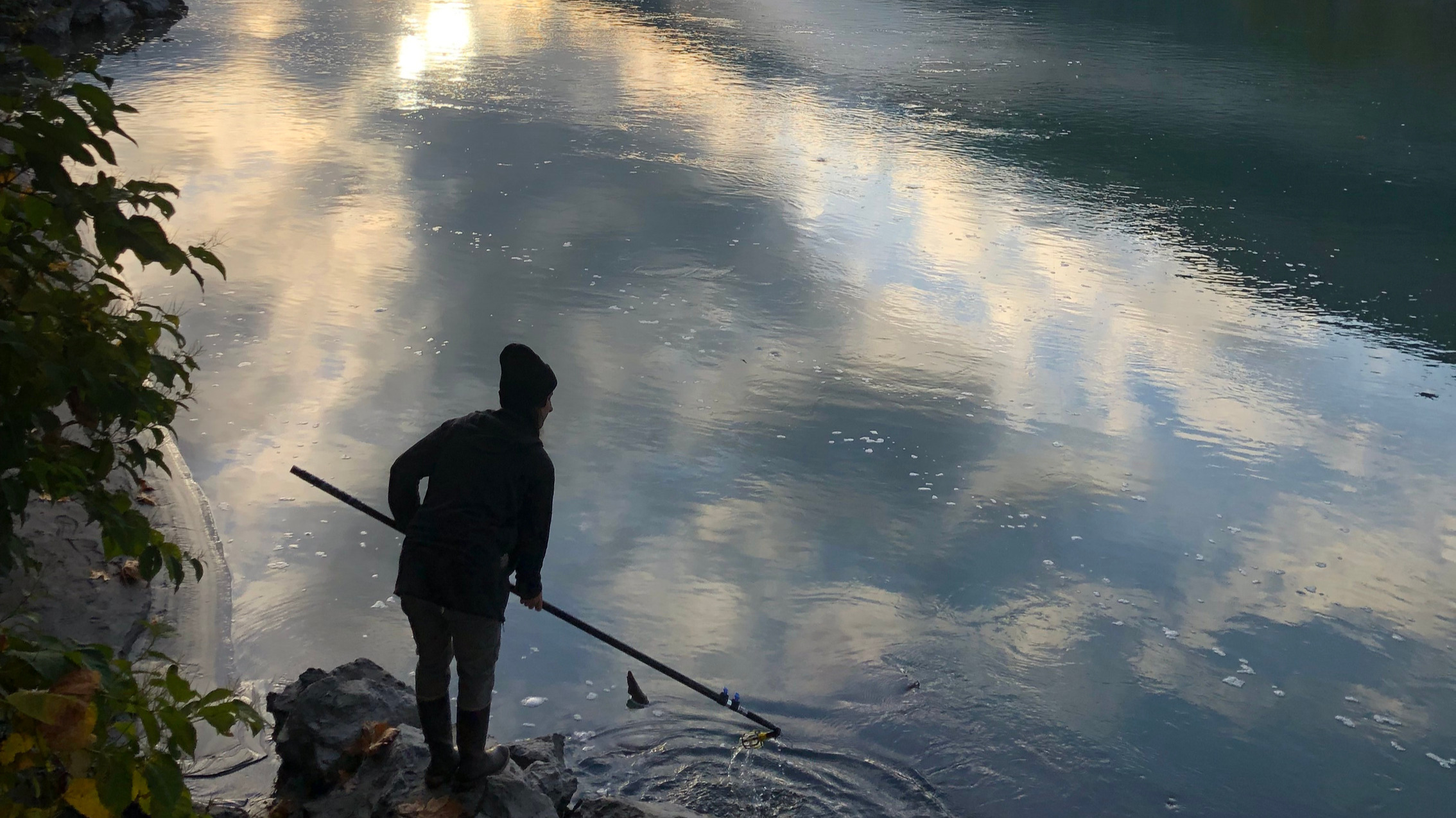 A person is dipping a bottle on the end of a long sampling pole into the Skagit River