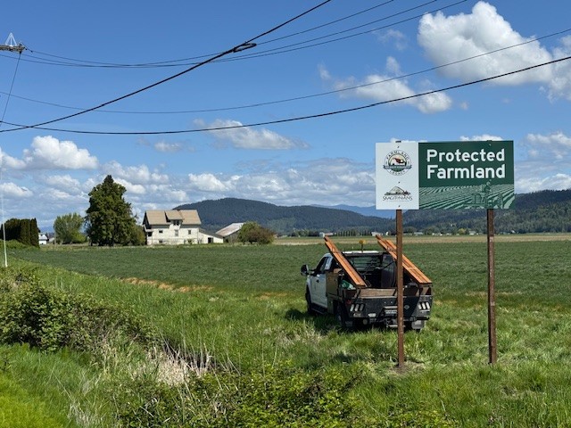 A large sign reading "Protected Farmland" with the Farmland Legacy logo standing in a Skagit field.