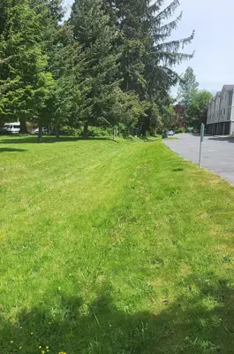 A long, shallow ditch along a roadside planted with mowed grass.