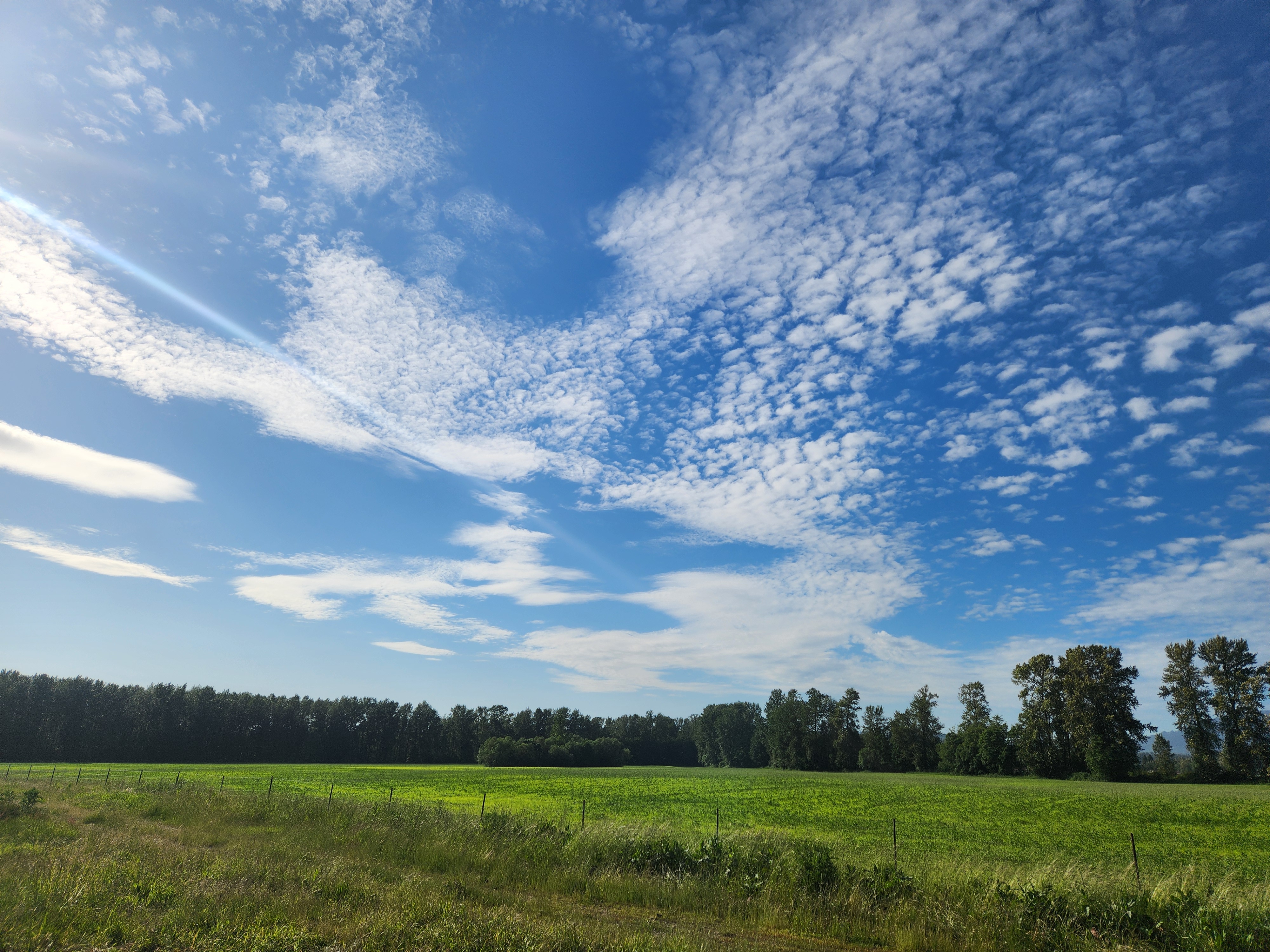 Halverson Farm