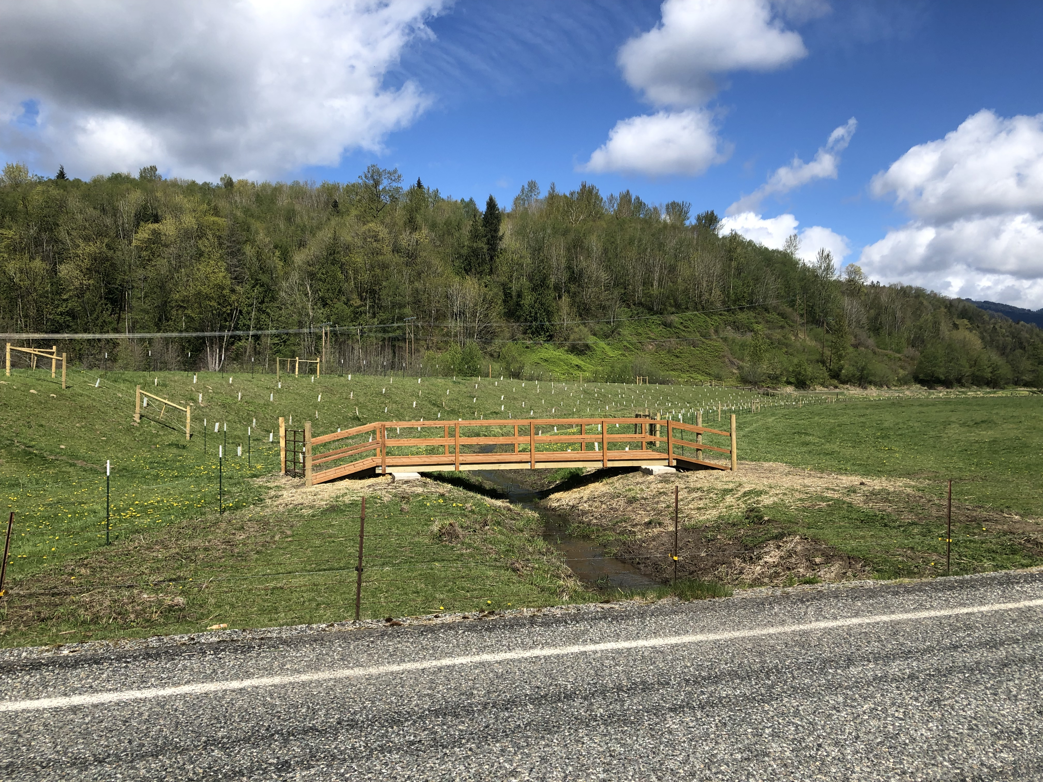 A wooden bridge going over a small creek that has newly planted vegetation around it.