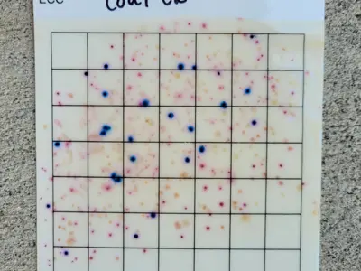 A bacteria lab test shows blue dots where E. coli colonies have grown