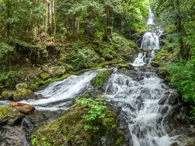 Waterfall cascading down rocks in the forest.